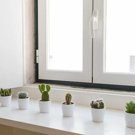 Appartement Bairro Alto *
